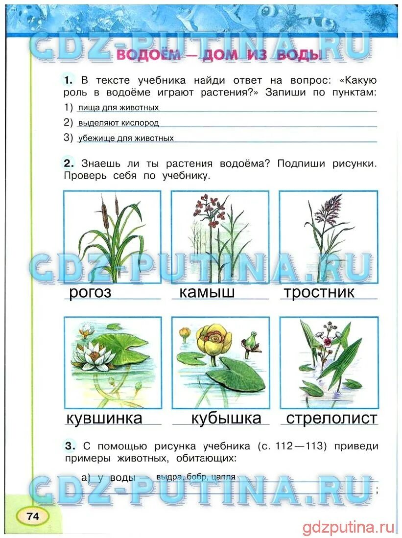 Окружающий мир рабочая тетрадь 3 класс цена. Окружающий мир 3 класс рабочая тетрадь 1 часть Плешаков стр 74. Окружающий мир 3 класс рабочая тетрадь Плешаков стр 74. Домашнее задание по окружающему миру. Окружающий мир 3 класс рабочая тетрадь 1 часть Плешаков Новицкая.