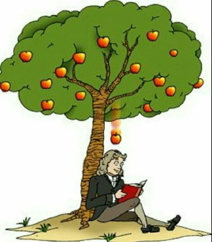 Тяготение к знаниям 14 букв. Закон тяготения Ньютона яблоко. Ньютон упало яблоко закон.