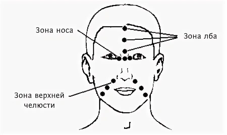 Зона лба. Зоны лба.