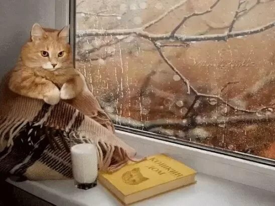 Давать как теплый так и. И все таки как хорошо дома так тепло уютно нет лучше места на земле. и все таеикаа хорошо дома. и всё-таки, как хорошо дома. и все таки как хорошо дома.