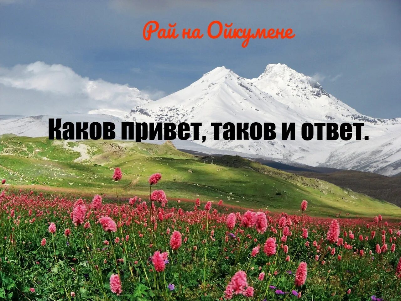 Каков привет таков и ответ. Каков привет таков и ответ смысл. Каков привет таков и ответ смысл пословицы. Каков привет таков ответ будет уместно. Какой привет таков ответ