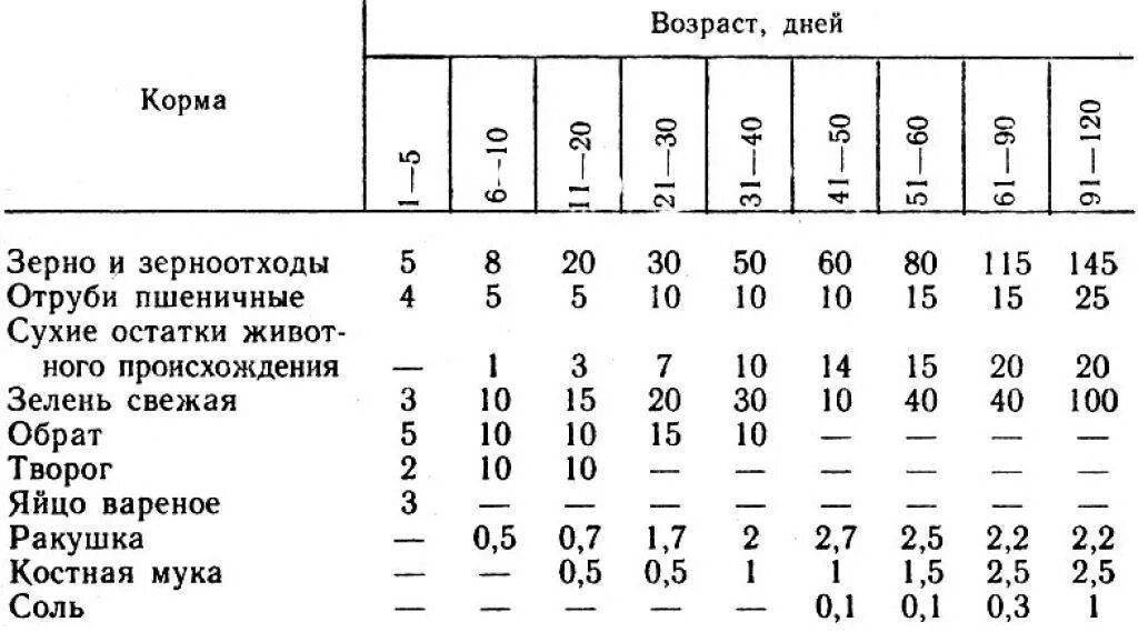 Можно давать пшеницу цыплятам. Норма кормов для индюков в сутки. Таблица рациона питания для индюков. Норма комбикорма для индюков в сутки. Суточный рацион питания индюков.