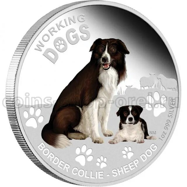 1 dogs coin. 1 dogs coin. 1 dogs coin. Dogecoin монета. Dogecoin logo.