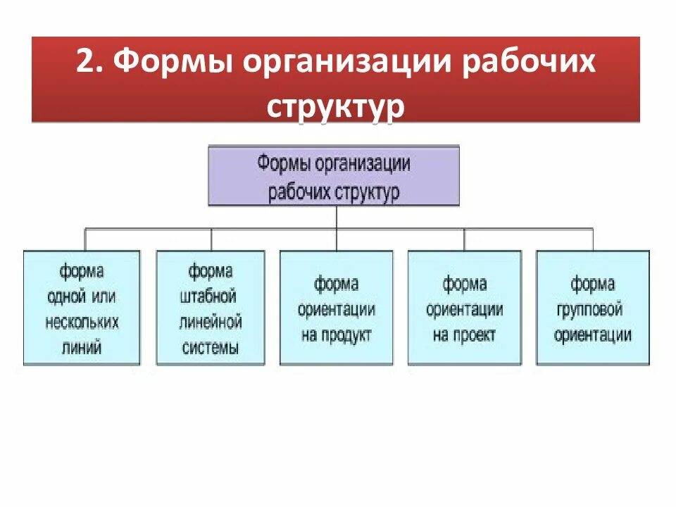 Формы организации менеджмент. Формы организации рабочих структур. Форма организационной структуры предприятия. Формы структуры организации. Организационная структура рабочие.