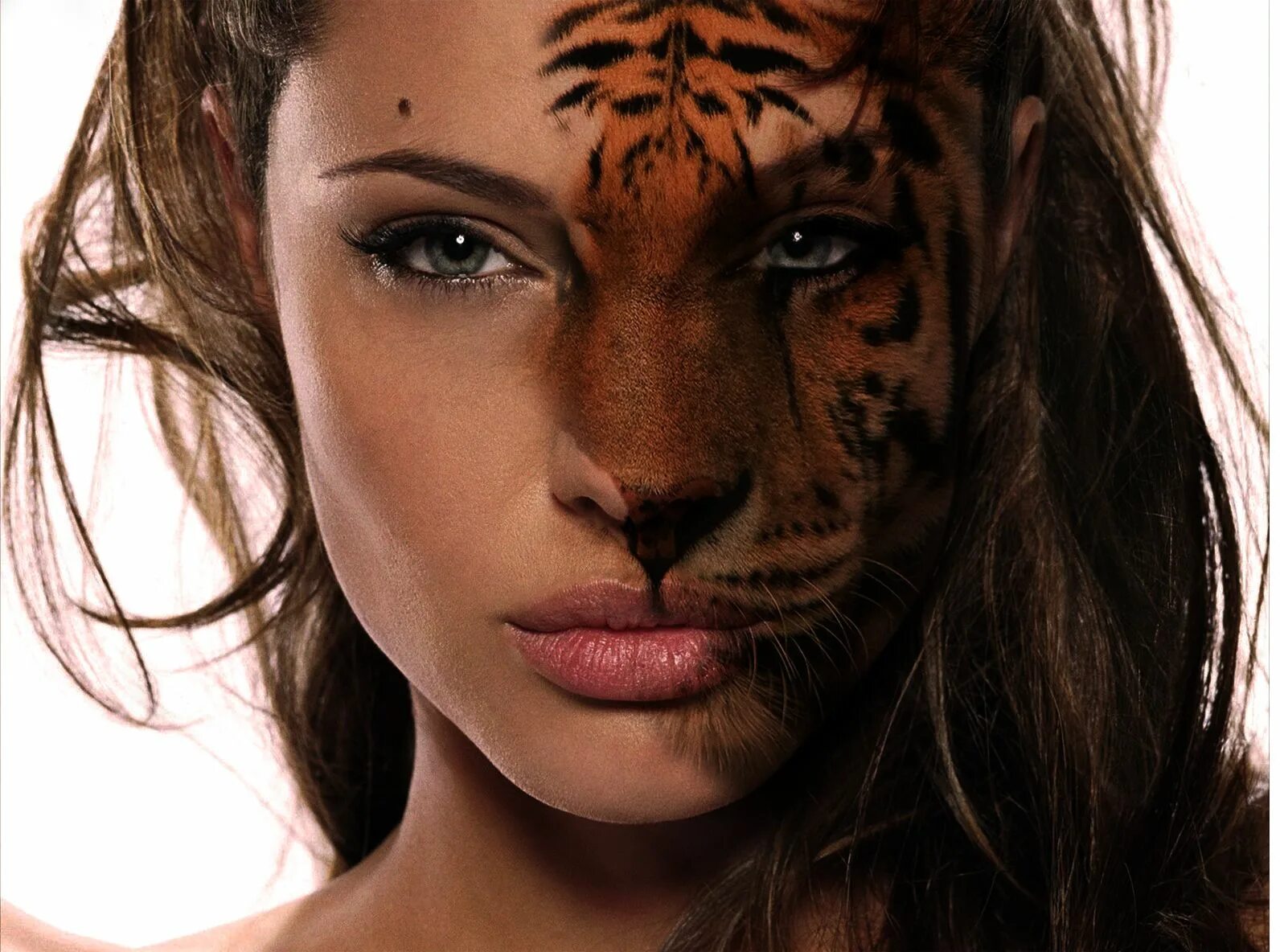 Полуженщина полульвица. Женщина тигрица. Тигр и девушка. Красивая девушка с тигром. Half human