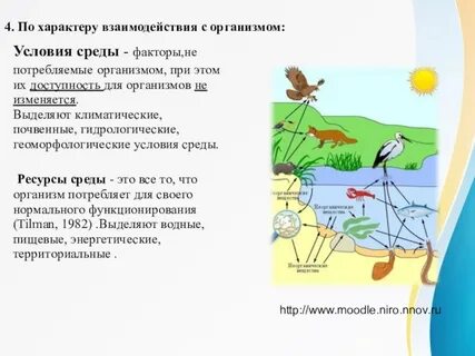 Комфортные условия окружающей среды