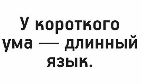 Короткий ум