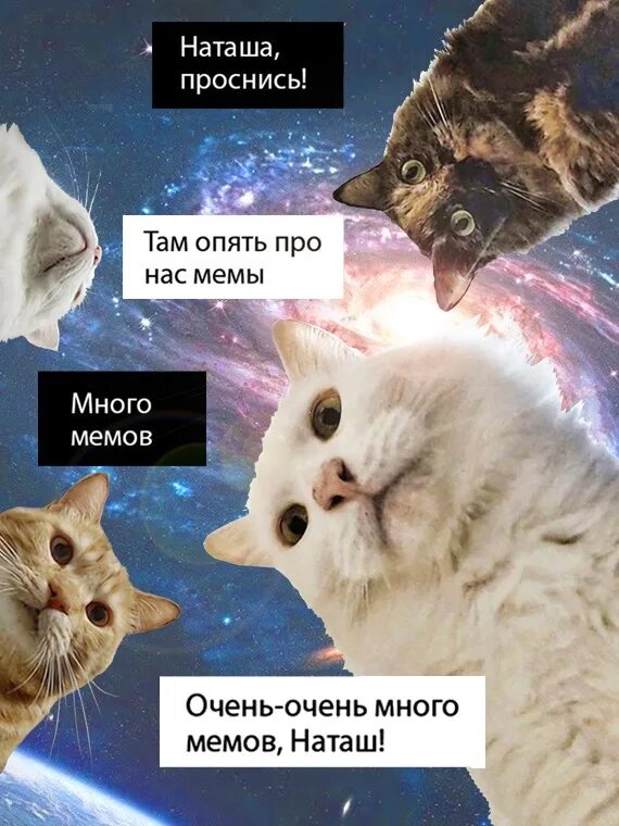 Чипсеки или лиманадек? 2020 ORIGINAL ™ ВКонтакте