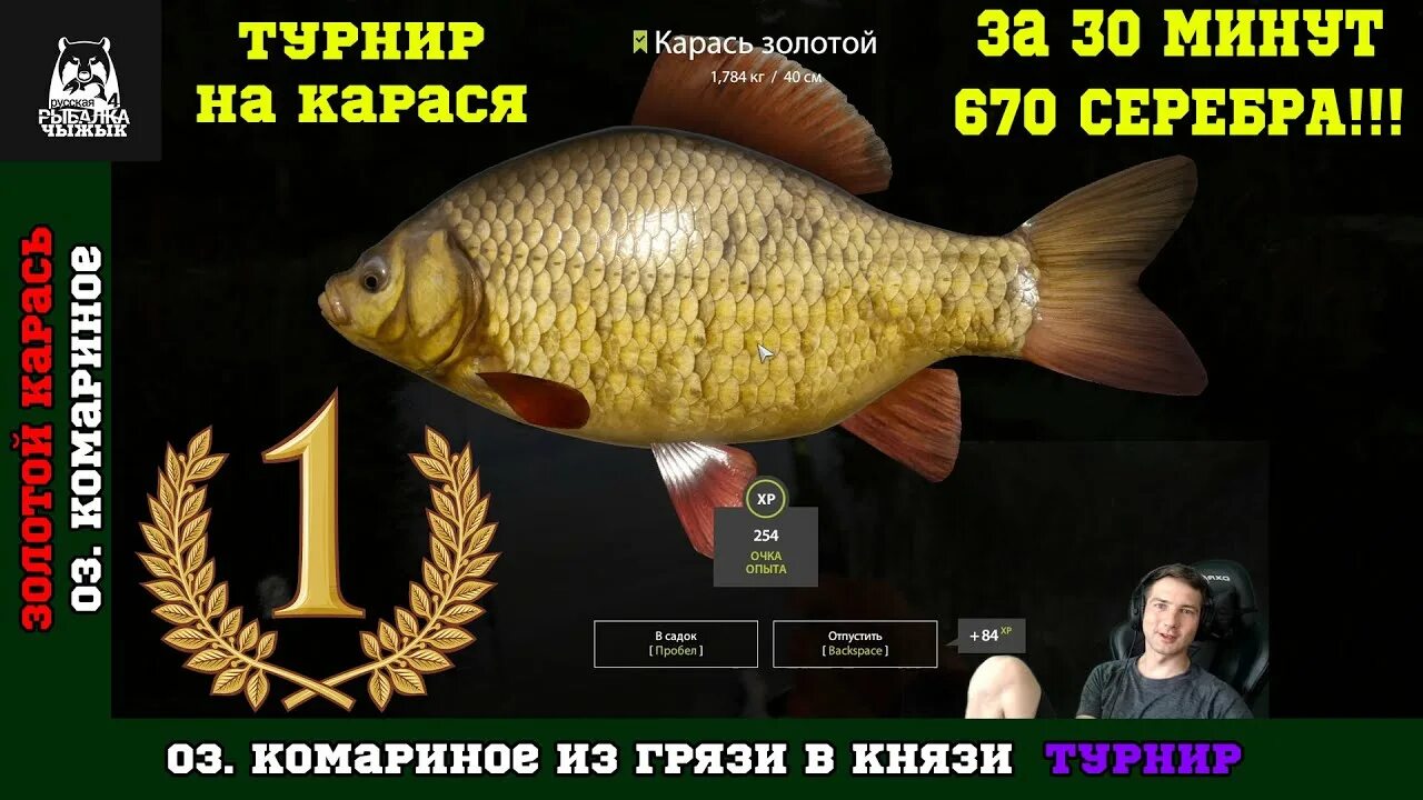 На что ловить карася в рр4 Русская рыбалка 4: КАРАСЬ У ГОРБАТОГО ОЗ. КОМАРИНОЕ YouTube
