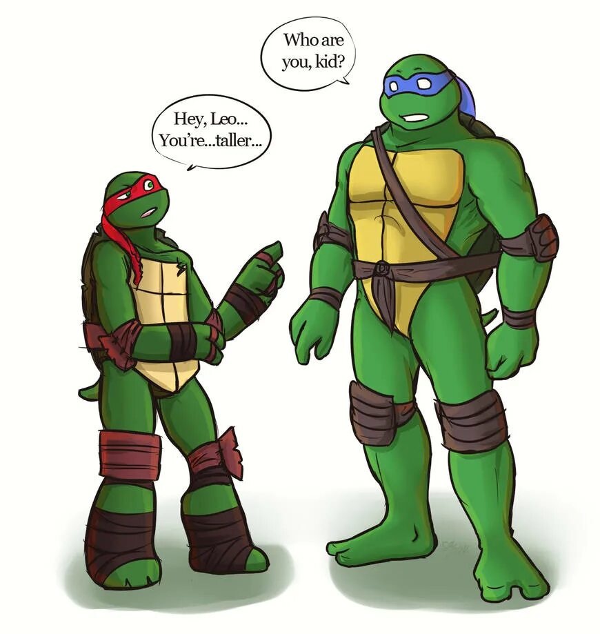 Лео и раф tmnt 18. Карай черепашки ниндзя 2012 любовь. Фикбук черепашки ниндзя. Tmnt лео и раф. Фанфики леонардо.