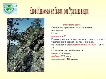 Ильменские сети телефон