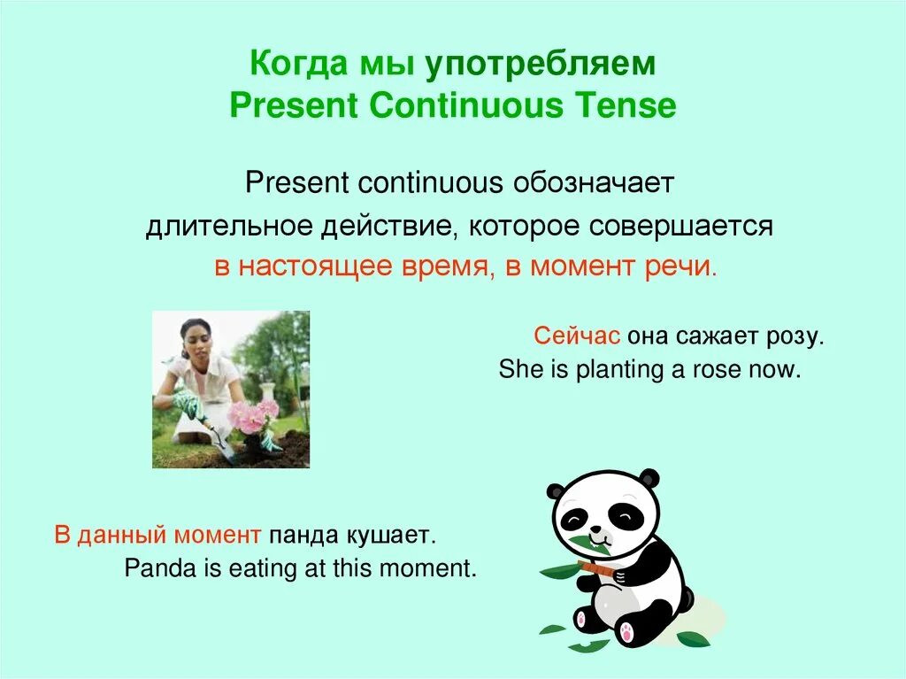 Animal continuous. Когда употребляется present континиус. Когда употребляется present Continuous Tense. Когда употреблять present Continuous. Present Continuous Tense употребление.