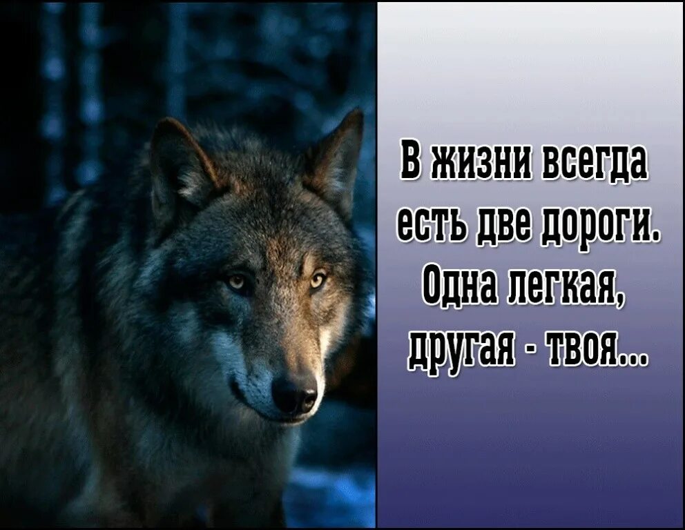 У человека есть вторая жизнь