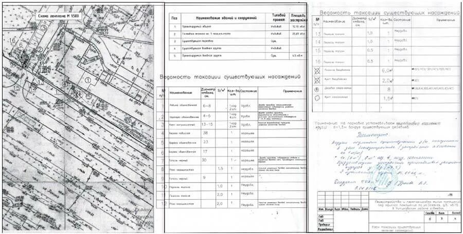 Карта согласована. Таксационный план. План зеленых насаждений. Таксационный план пример. Карточка проекта таксация.