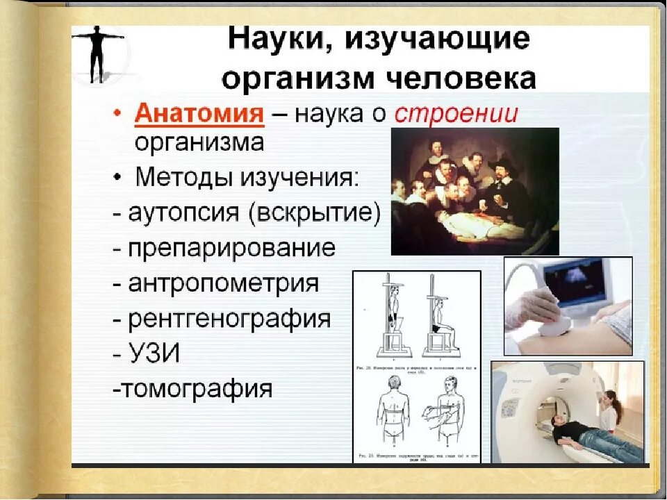 Какая наука изучает труд. Науки изучающие организм человека и методы. Методы изучающие человека. Методы исследования науки анатомии человека. Методы изучения строения организма человека.