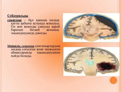 Әйеліммен үштік порно (орысша видео)