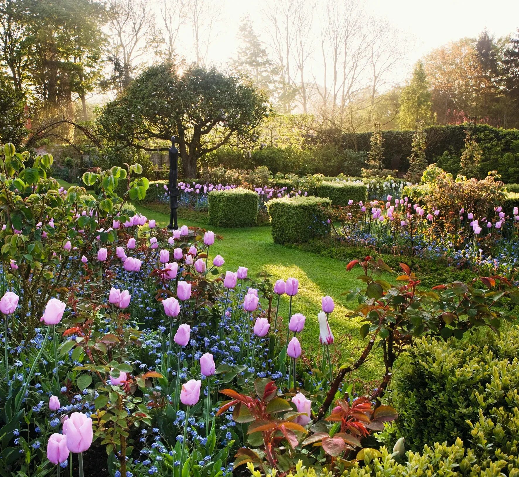 Картинка сад. Сад Дороти Клив, Шропшир. Ландшафтный дизайнер Хью Гарден. Гарден сад Garden Sad. Эдемский сад ландшафт.