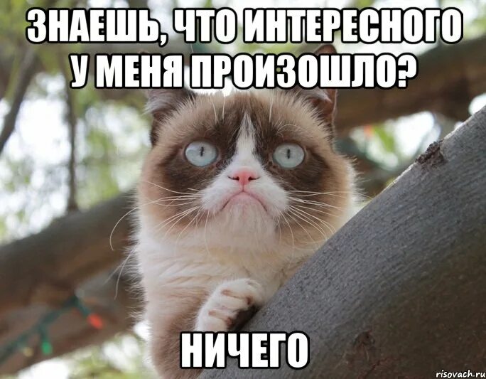 Любопытно увидеть