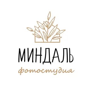 Студия миндаль