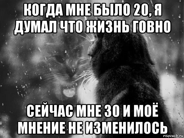 Жизнь отстой цитаты. Жизнь-говно картинки с надписями. Вся жизнь гавно статусы. Мем про жизнь. Зачем мне она думал я