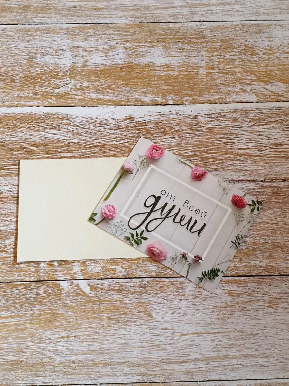 Посуда сергиев посад. Комплимент сергиев посад. Магазин комплимент петропавловск казахстан. Магазин комплимент сергиев посад. Набережная 79 архангельск.