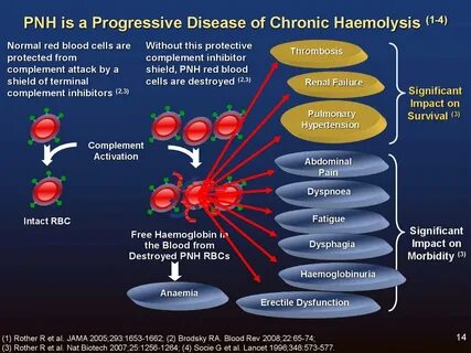 Объясните значение тэ и производящих основ haemolysis
