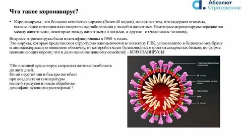 Инфекция 2021 года