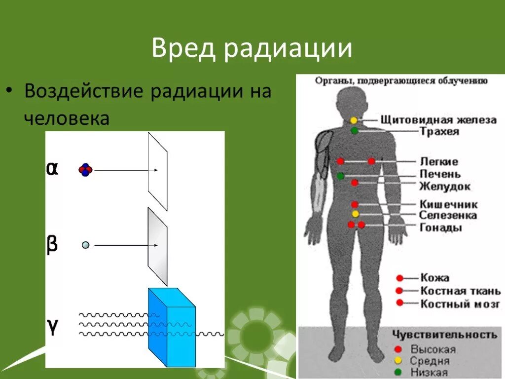 Вред радиации для человека. Влияние радиоактивного излучения на человека. Воздействие излучения на человека. Воздействие радиационного излучения на организм человека. Польза радиации