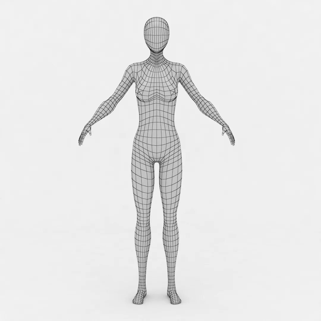 Модель человека фотографиям. Модель человека. Макет человека. Трехмерная модель человека. Макет тела человека.