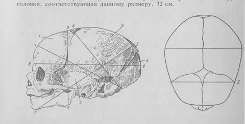 Швы и размеры головки