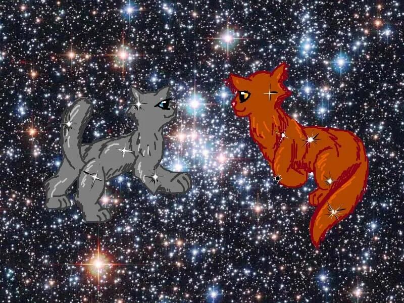 Коты воители снежная звезда. Серебрянка коты воители племя. Коты воители синяя крутобок. Коты воители синяя звезда. Коты воители верескоглазка.