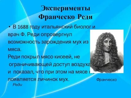Реди