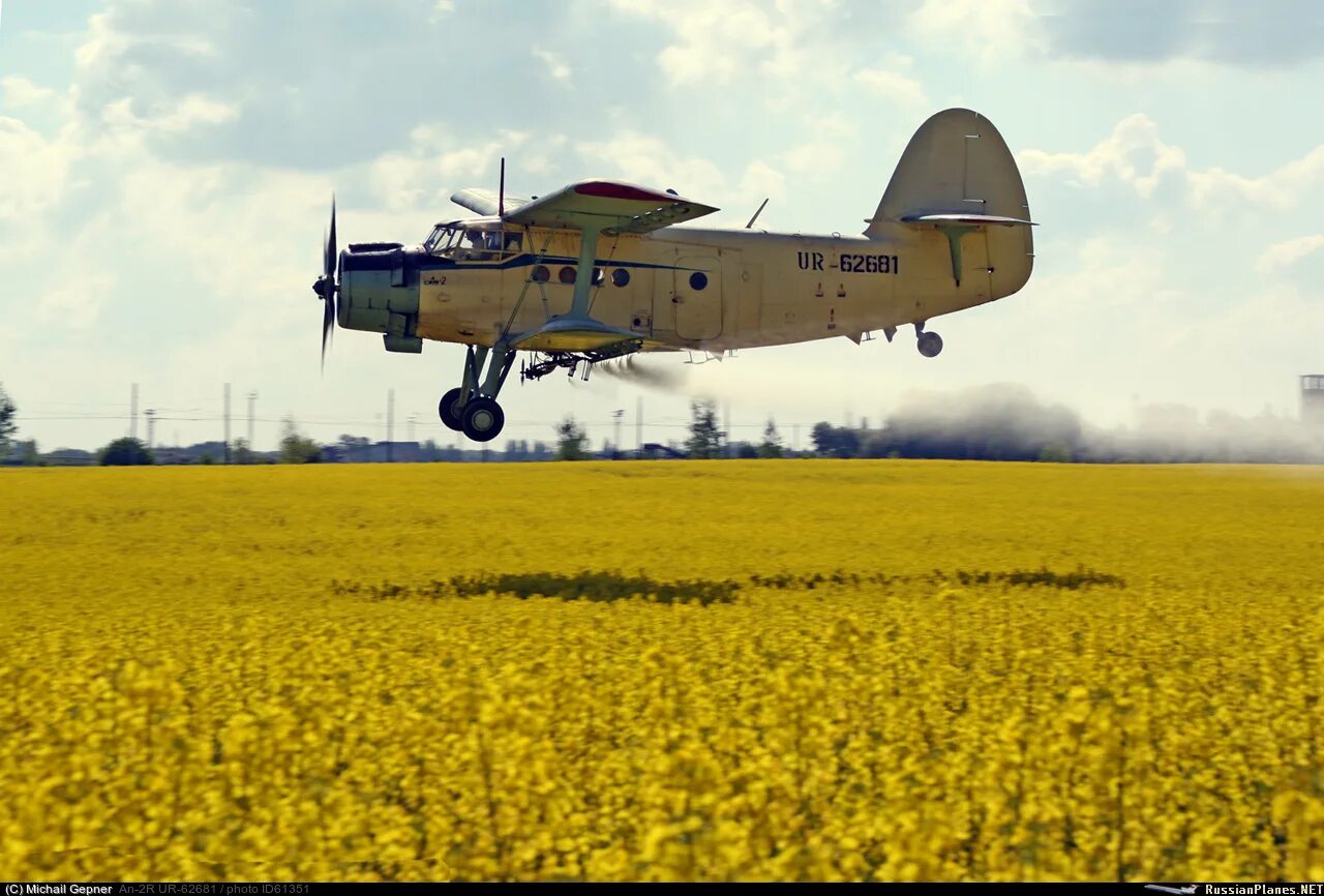 Antonov (PZL-Mielec) An-2 - Untitled Aviation Photo #1739458 Airliners.net