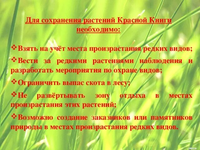 Как можно сохранить растения. Методы сохранения редких растений. Имеры по охране растений. Меры по охране редких видов растений. Меры по охране растений и животных красной книги.