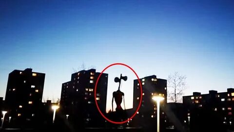 Видео где раз
