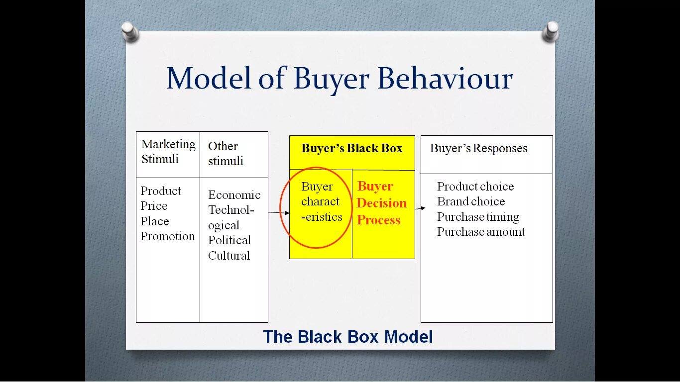 Box model. Consumer buyer Behavior. Model of buyer Behavior. Model of Consumer behaviour. Model behaviour
