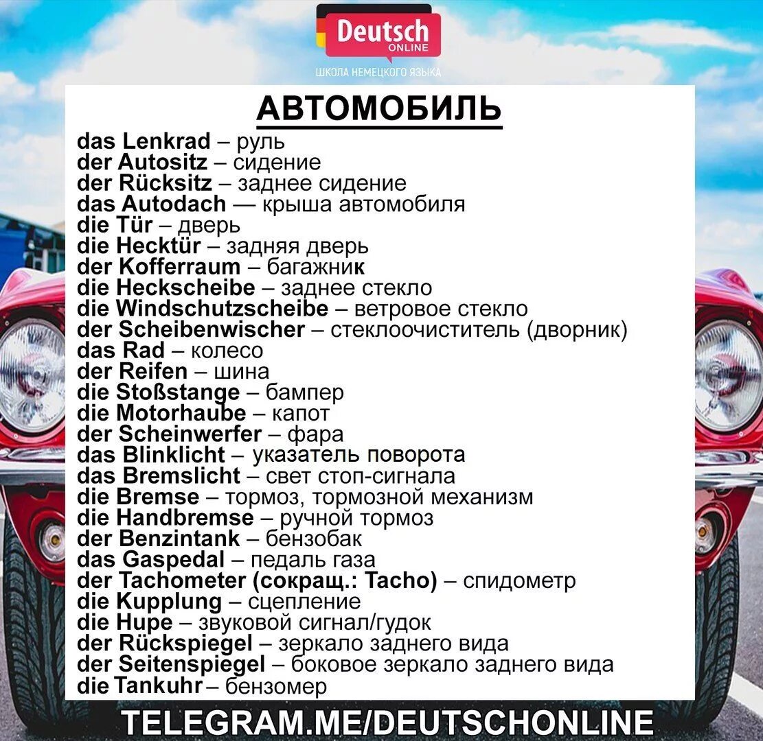 схожие слова в английском и немецком языках. разговорник для пленных немцев. команды для собак на немецком языке. команда перевод немецкий. названия животных на немецком языке с переводом.