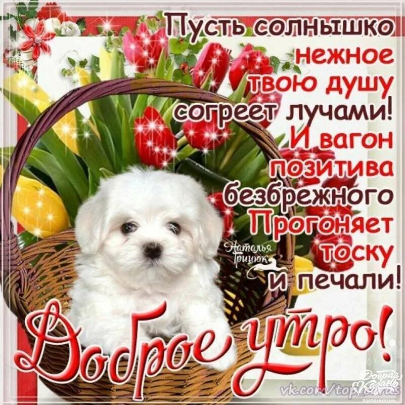 пожнданиякрепкого здоровья. доброе утро берегите себя. с добрым утром цветы. с добрым утром с пожеланиями здоровья и счастья. пожелания с утра счастья радости.