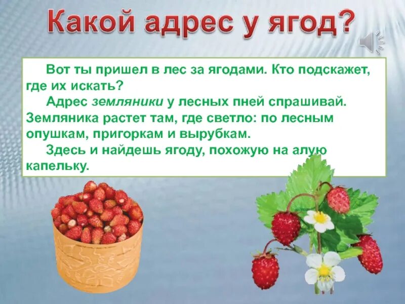 Лесные ягоды словами. Ягодные адреса. Ты пришел в лес за ягодами кто подскажет тебе. Ты пришёл в лес за ягодами. Рассказ за ягодами.