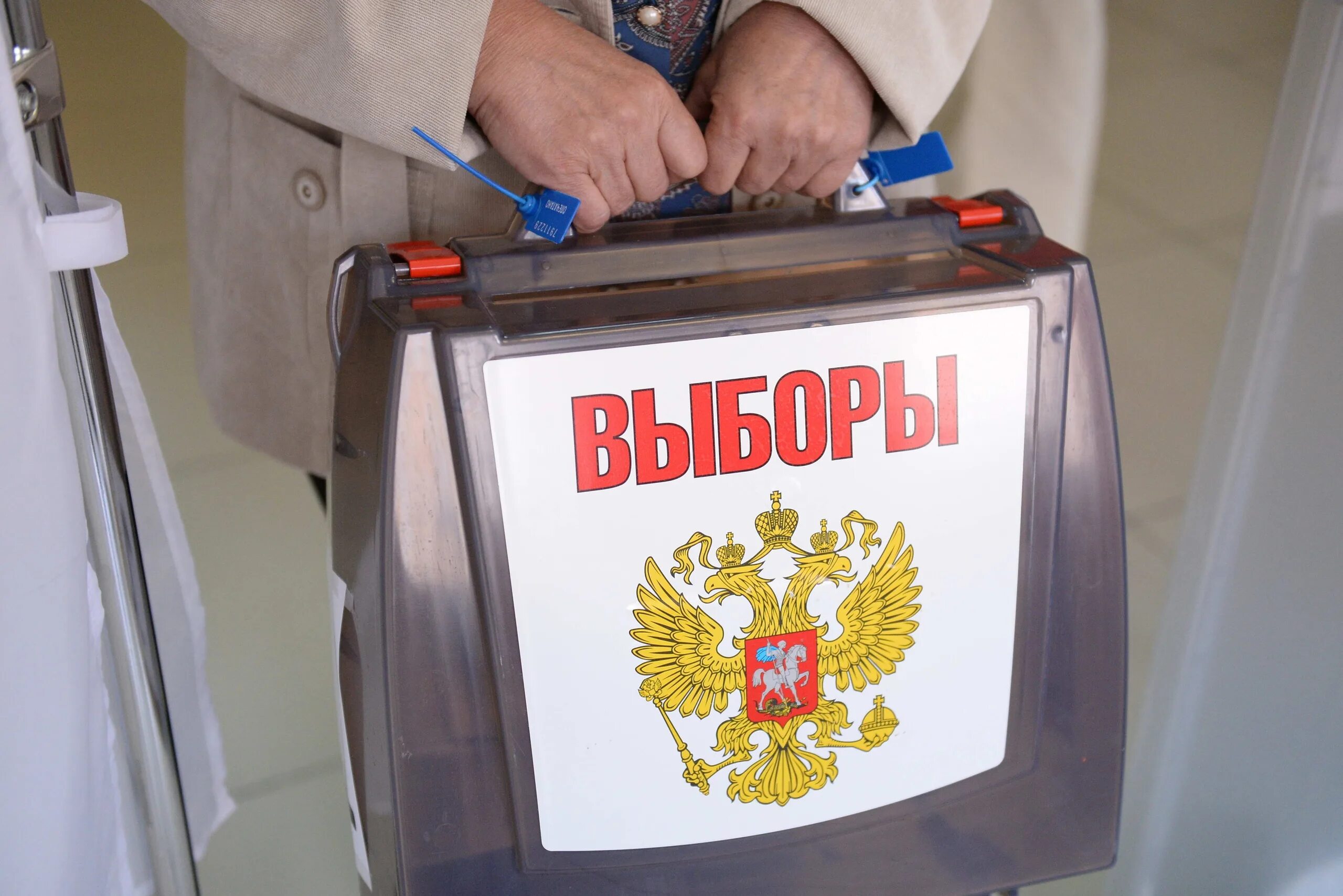 Выборы с 8 утра. Выборы президента россии. выборы март 2025.