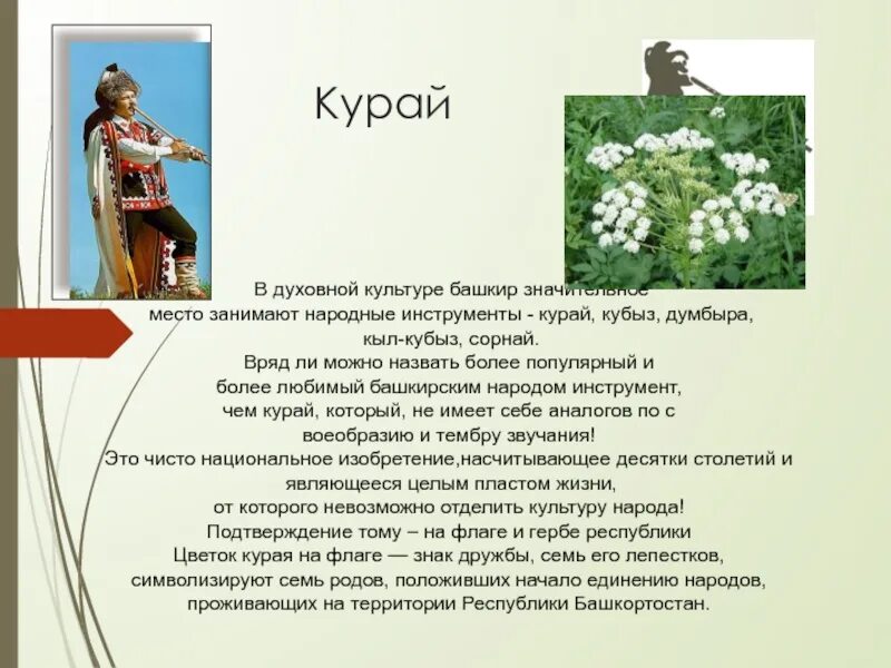 Сообщение о башкирском музыкальном инструменте. Башкирская легенда о курае. сказка о курае. курай краткая информация. легенда про курай на башкирском языке.