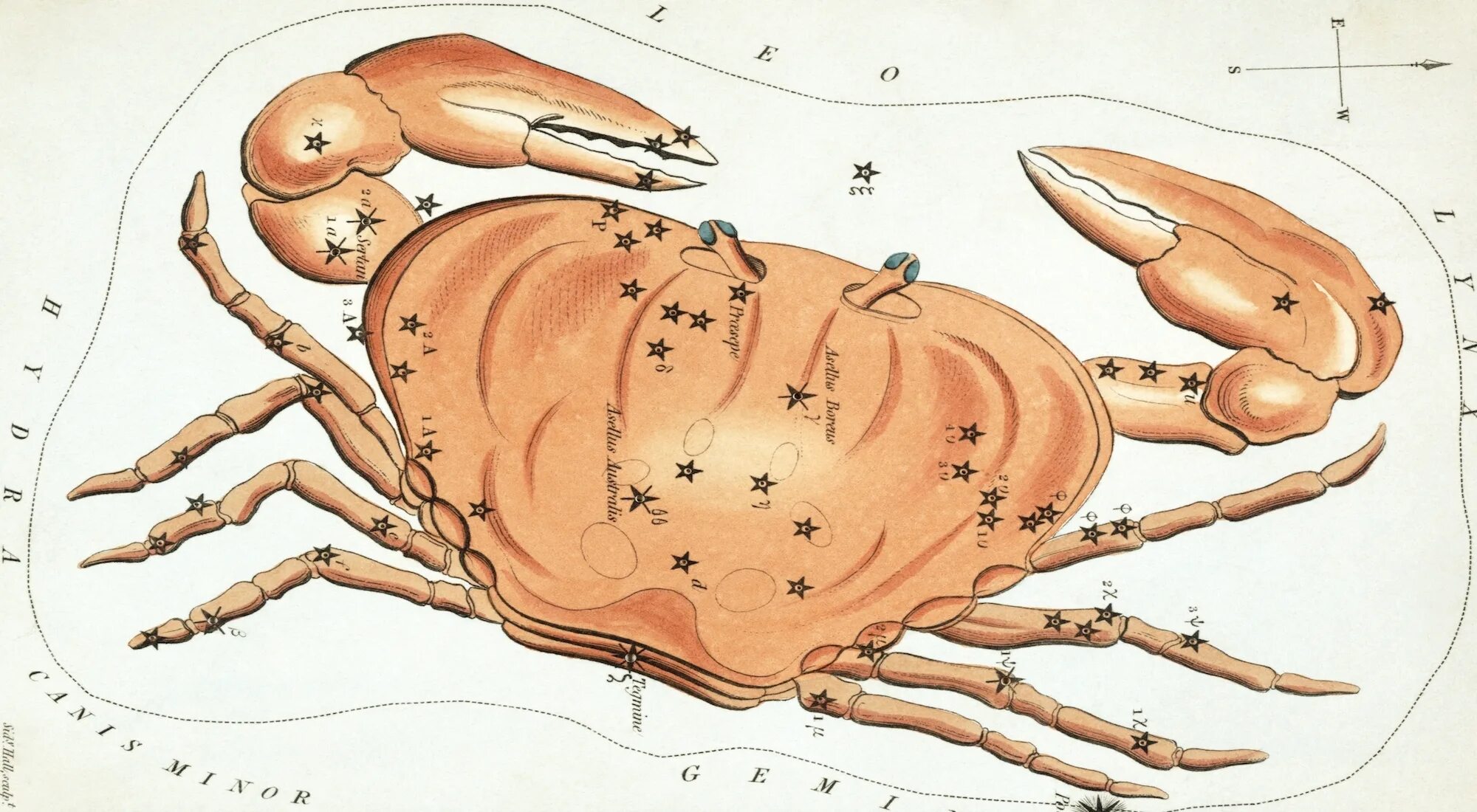 Созвездие краба. Характерисотика ракка на месте. Кардинальный рак. Знаки зодиака стихии. Знаки кардинального креста в астрологии.