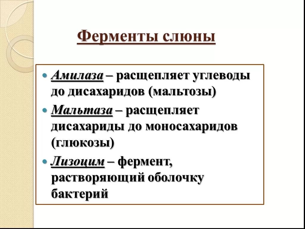 Слюнные ферменты расщепляют