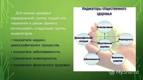 Группы социального организма