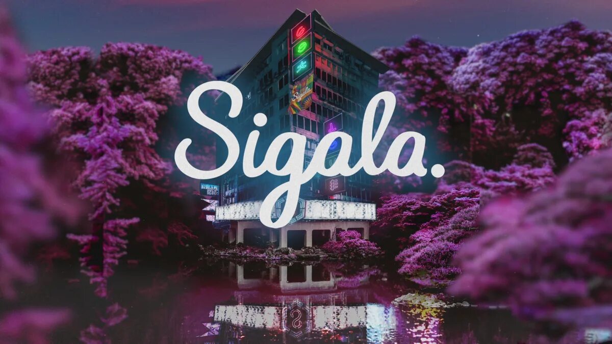 We got us. Cryjaxx. Sigala melody. Gangster music машина. Молодожены шоу корея.