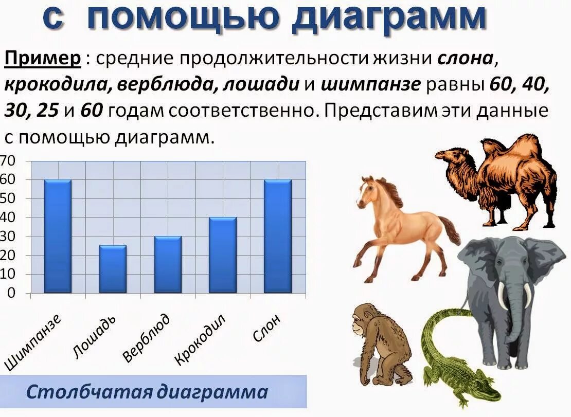 Продолжительность жизни лошади. Продолжительность жизни лошадей в среднем. Наглядные формы представления. Срок жизни коня.