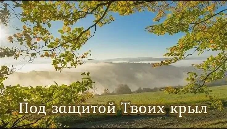 Песня под защитой твоих крыл
