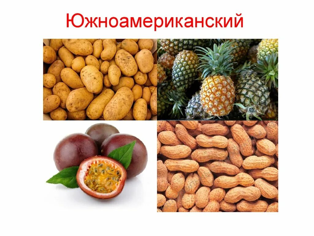Южно азиатский тропический