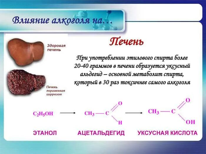 Воздействие этанола на печень. Влияние этанола на организм человека. Влияние этилового спирта на организм человека презентация. Алкогольные реакции