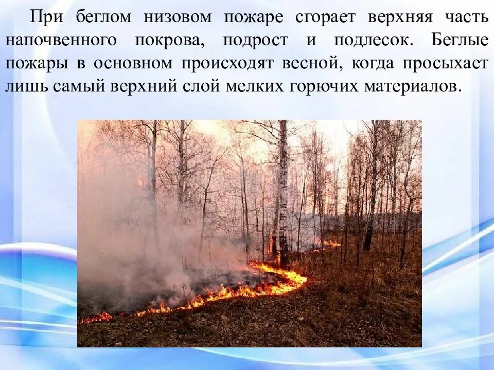 Скорость распространения природного пожара